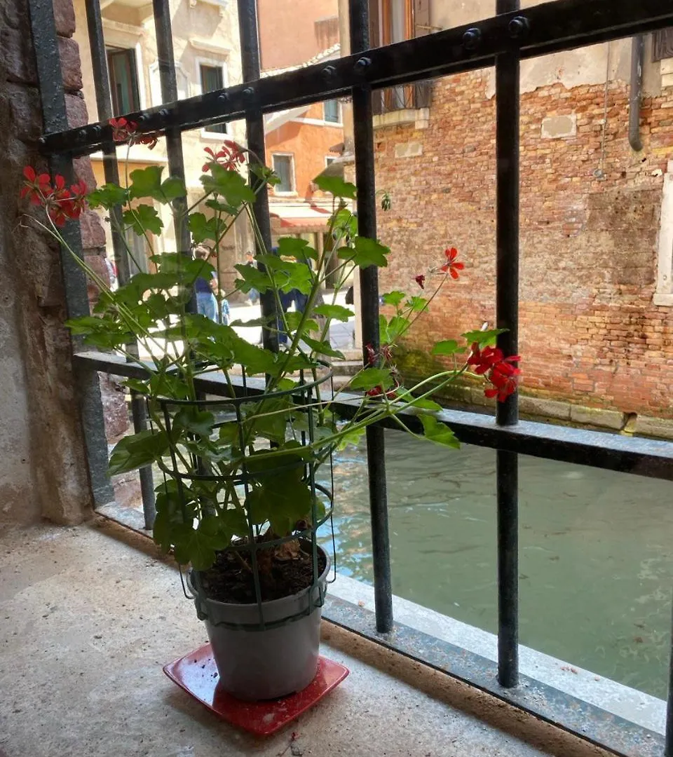 Canal View Venecia